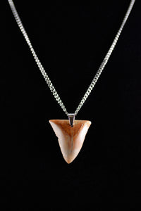 Great White 1.35"